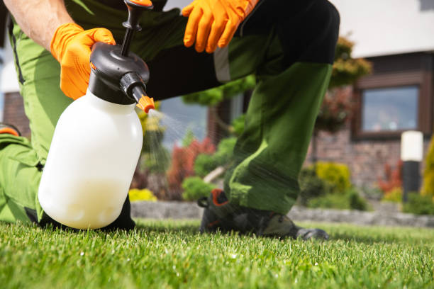 East Mountain, TX Pest Control Company
