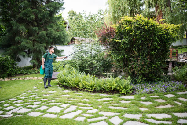 Best Affordable Pest Control Services  in East Mountain, TX