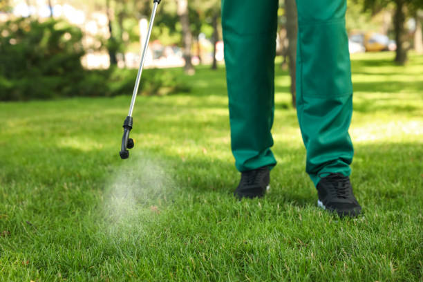 Best Pest Control Near Me in East Mountain, TX