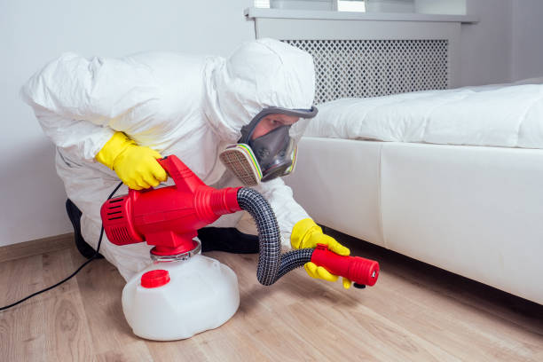 Best Flea Control Services  in East Mountain, TX