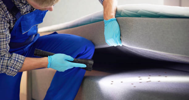 Best Bed Bug Extermination  in East Mountain, TX